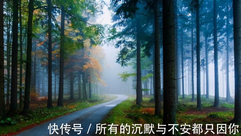 名流|推荐5本完结不比庆余年差的历史小说，名流千古还是遗臭万年