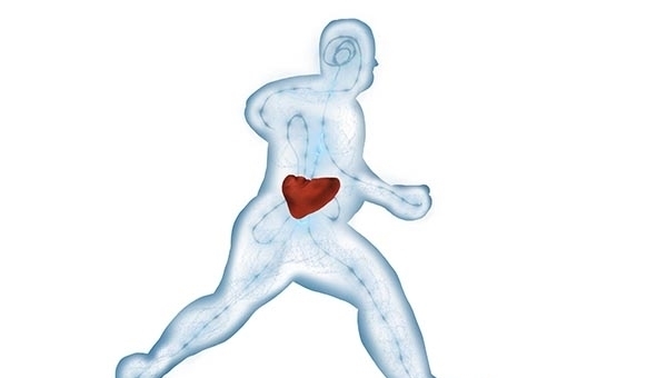 中年|为什么“脾虚人就废一半”？关于脾脏的调理，医生和您聊一聊