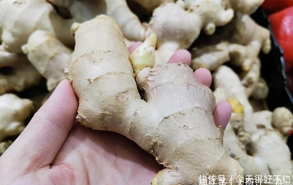 健康|才知道这种生姜不能买,菜贩子从来不吃,为了家人健康,不妨看看