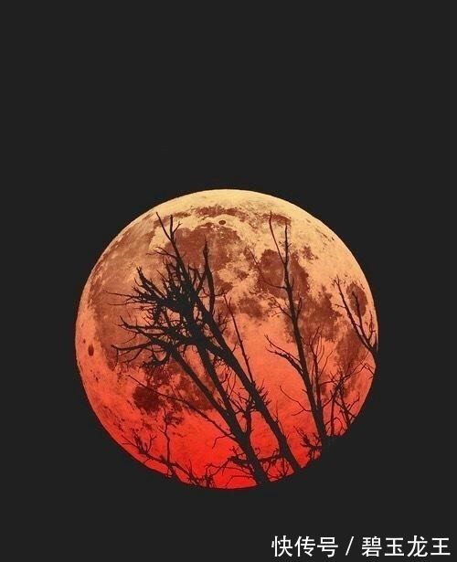 剧情$创意炸裂的几本极品小说,每本小说的剧情都高能不断,越看越入迷