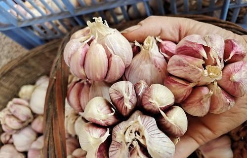 “牛不韭,鱼不蒜,肉不姜”是什么意思和健康有关系吗好好看