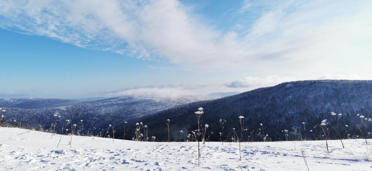 原生态|雪深超一米 凤凰山高山雪原“风姿”初现