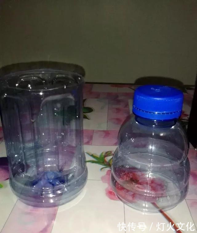 绿萝发黄养不好,一碰塑料瓶,根系蹭蹭长,叶子比巴掌还大!