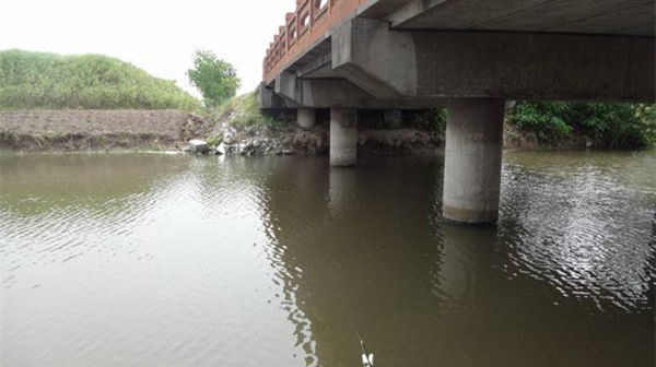 地方|三伏天野钓,鱼喜欢扎堆在这些地方,钓点选这些位置,一钓一个准