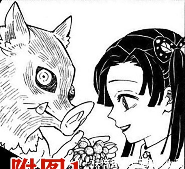 子孙|鬼灭之刃附录，祢豆子有4个子孙，水柱的后代现身，义勇的CP是谁