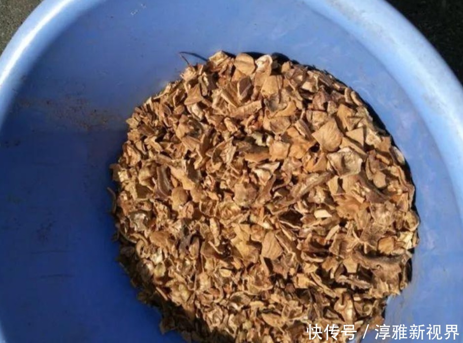 换盆用它垫盆底,养花效果非常好,花卉越长越旺盛!