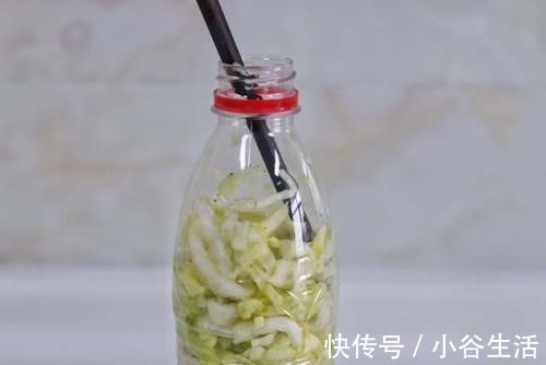 腌制|想吃东北酸菜，现在腌制也不晚，教你简单做法，想失败也不容易