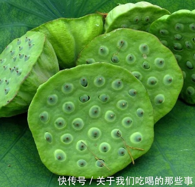 伏天|伏天,吃冬瓜不如吃它,2元1个,蒸成小零食,清热解暑,养心安神