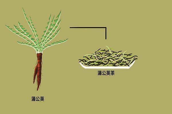 天然黄体酮|藏在身边的天然黄体酮，女性经常吃，通乳散结，面若桃花气色好