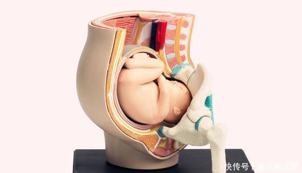 孕妇|孕晚期，孕妇有几种感受，说明胎儿已顺利入盆，附胎儿入盆图解
