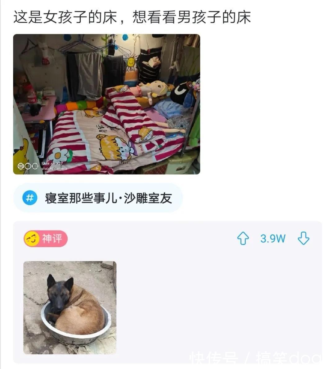 |搞笑合集:我一定是穷疯了,看啥都感觉像钱,还有救吗