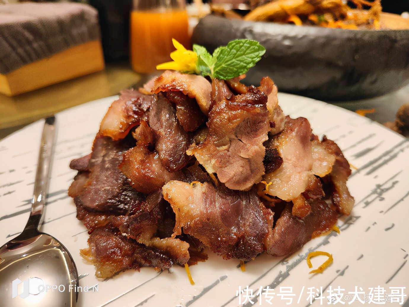 OPPO|「科技犬」OPPO Find N随手拍：锅包肉、酸菜饺子，太香了