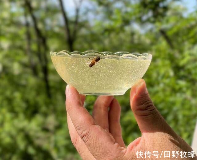 减肥期间|减肥期间早餐可以喝蜂蜜吗？蜂蜜水长胖还是减肥？