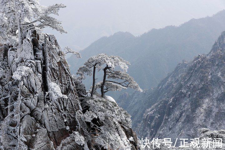 仙境|晶莹剔透，雪后的黄山宛如仙境