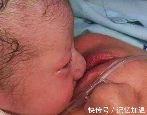 动作|孕妇产后大出血离世,婴儿接下来的动作,打动人心