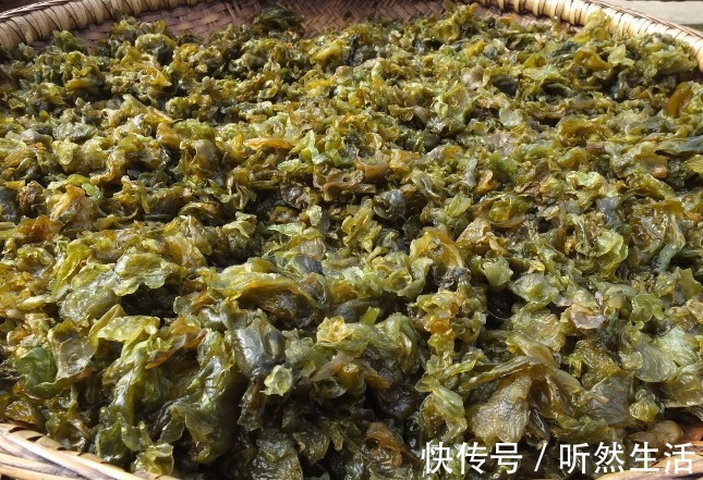 鱼腥草|66种野菜大图片，带你见识不同的野菜和吃法，你想要的野菜这里有