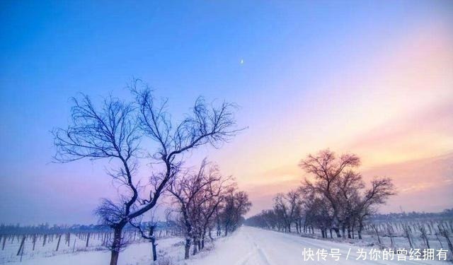 梅花落#冷门诗人刘著的唯一词作,仙气足情意浓,却道尽人生的无奈!