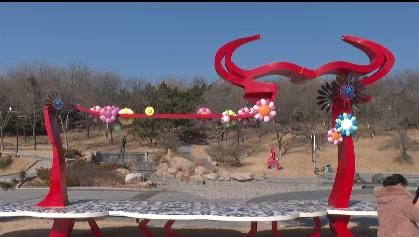 花开|迎春花开 欢度安静祥和年