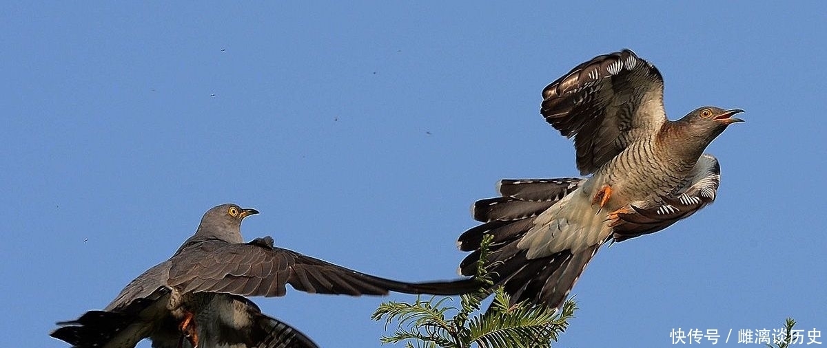 动人|晏几道最经典的思乡词,词作开篇唯美动人,词尾却让人肝肠寸断!
