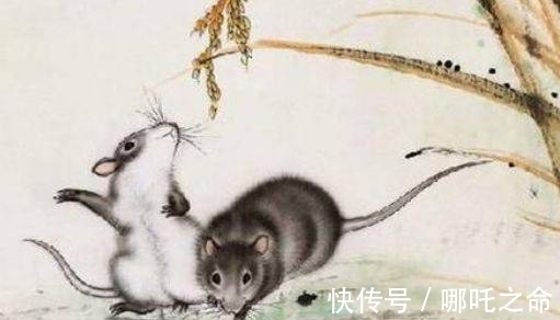 人财|一过40岁,注定翻身成富翁,人财两旺,福禄双全的3大生肖!