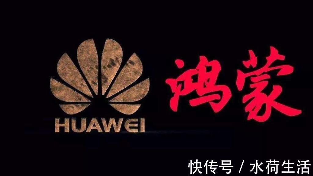 美国|华为打出2张“王牌”,美国开始找台阶下了?