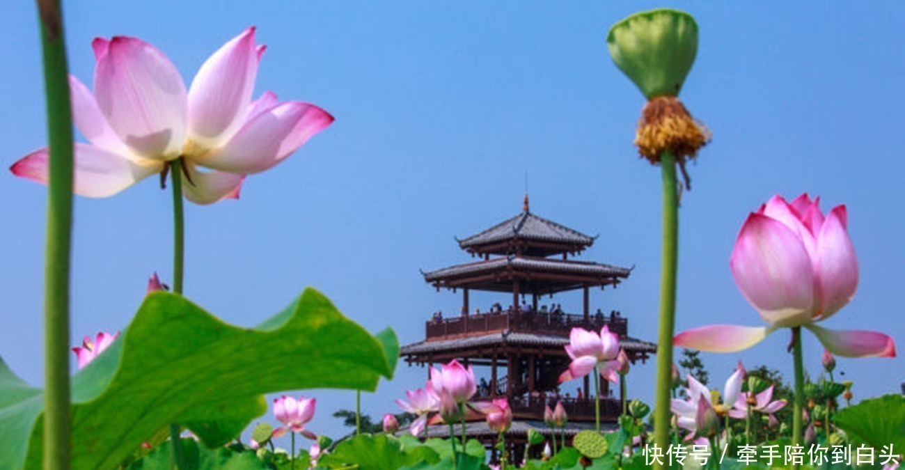 程敏政$宰相考验准女婿,上联因荷而得藕,少年很快对出,宰相绝了!