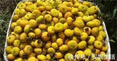 卵巢|女人月经走后, 这几种食物吃的越多, 卵巢毒素排得越干净!