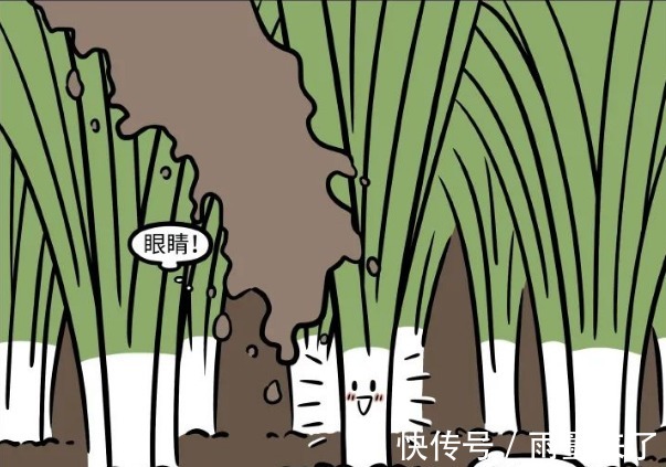 九月|非人哉:九月重生后,结果变成一根葱,气的她破口大骂!