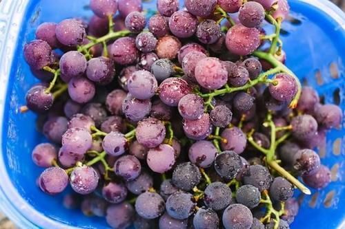 维生素c|高血脂患者不用怕，每天都吃这4种“水果”，稳定病情越活越年轻