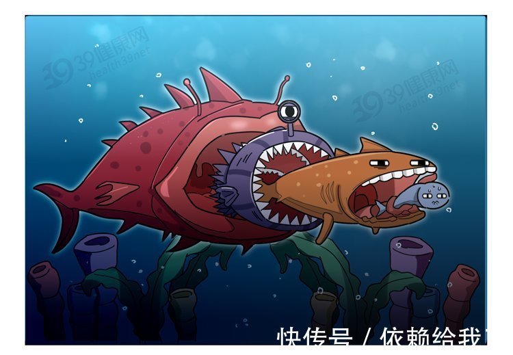 神经元|吃鱼时,哪些部位最营养,哪些部位毒性强?弄懂后,才知道怎么吃