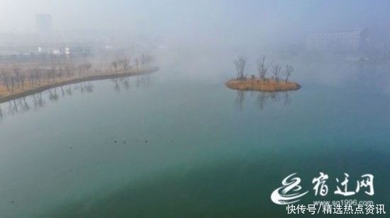 宿迁泗洪:晨雾缭绕湿地美