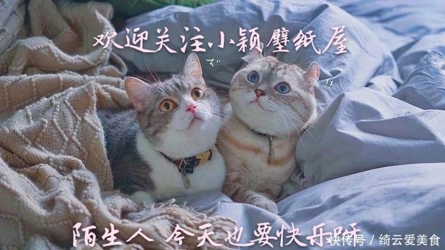 情侣头像|情侣头像丨江头未是风波恶,别有人间行路难