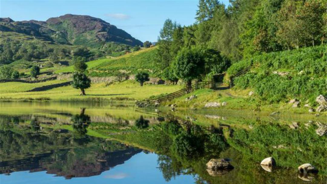 红叶|王维很唯美的一首小诗,通篇写出了新意,每一句都美得令人心醉