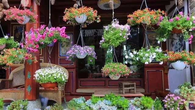 天下风物——《中国最美的尼姑庵，不烧香只种花！（一）》风光题照