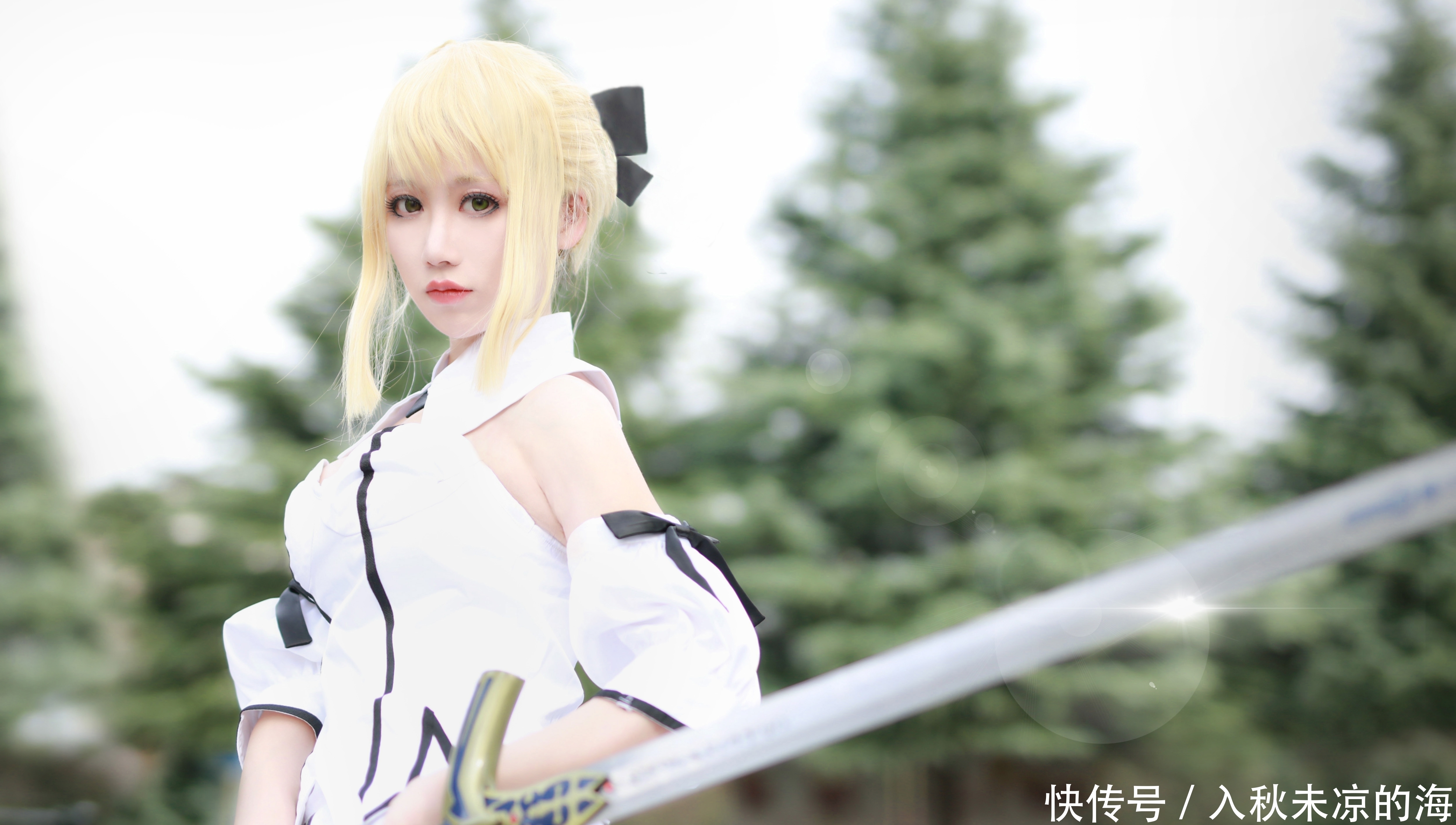 a8341|【cos正片】Saber Lily