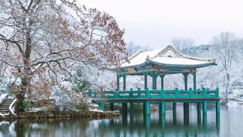  江山|风中闻草木，雪里见江山