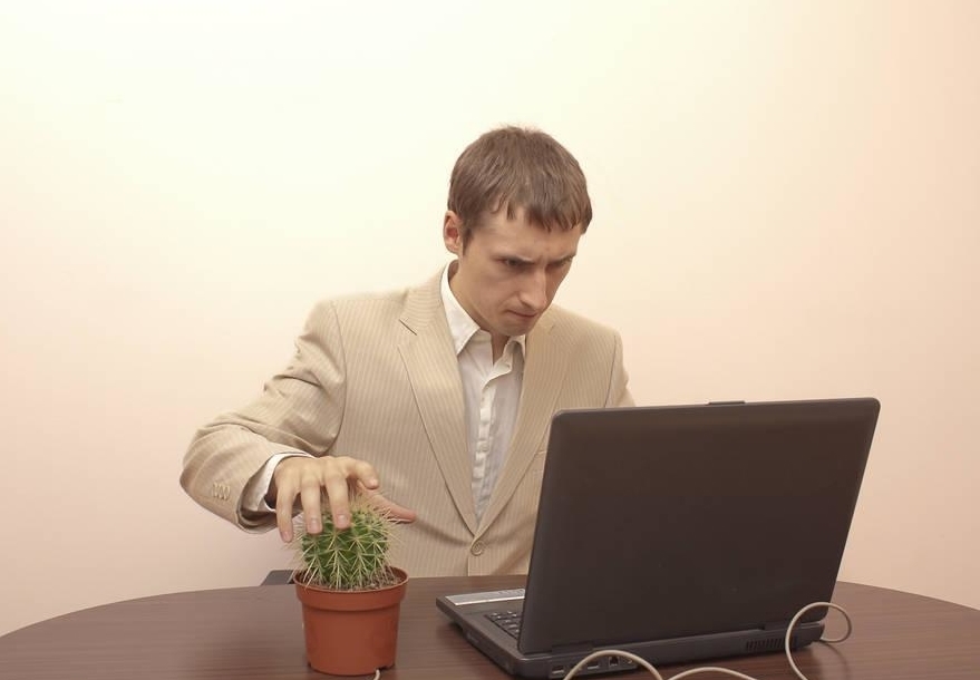 互联网时代|仙人掌防辐射这个说法,是什么时候开始流行的?