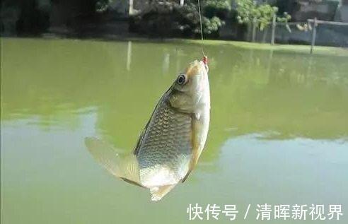 钓鱼|钓鱼遇到这些蹭窝的人,钓友你们怎么看