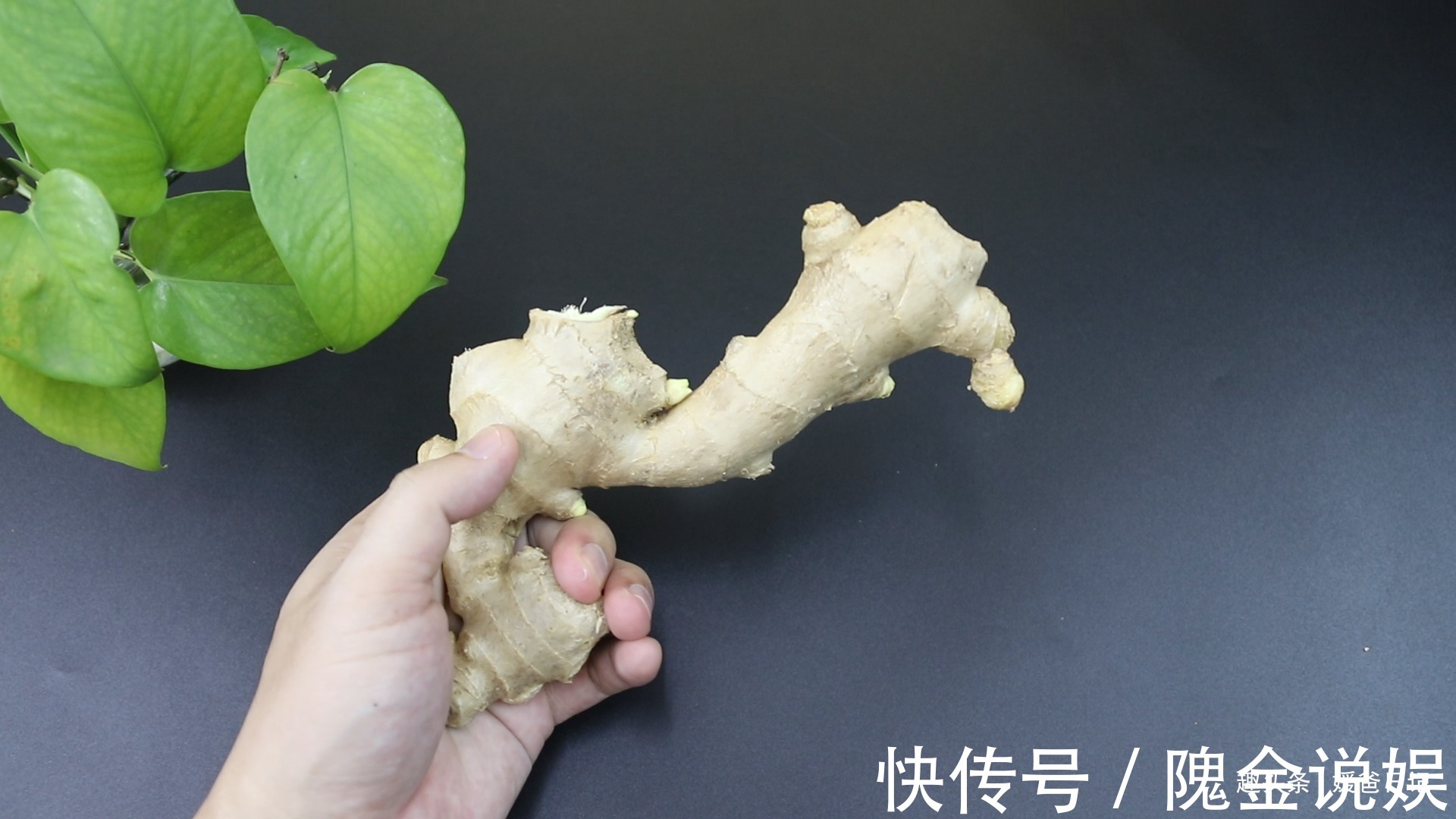 这样的生姜不能买，还好菜贩子告知，早知早受益