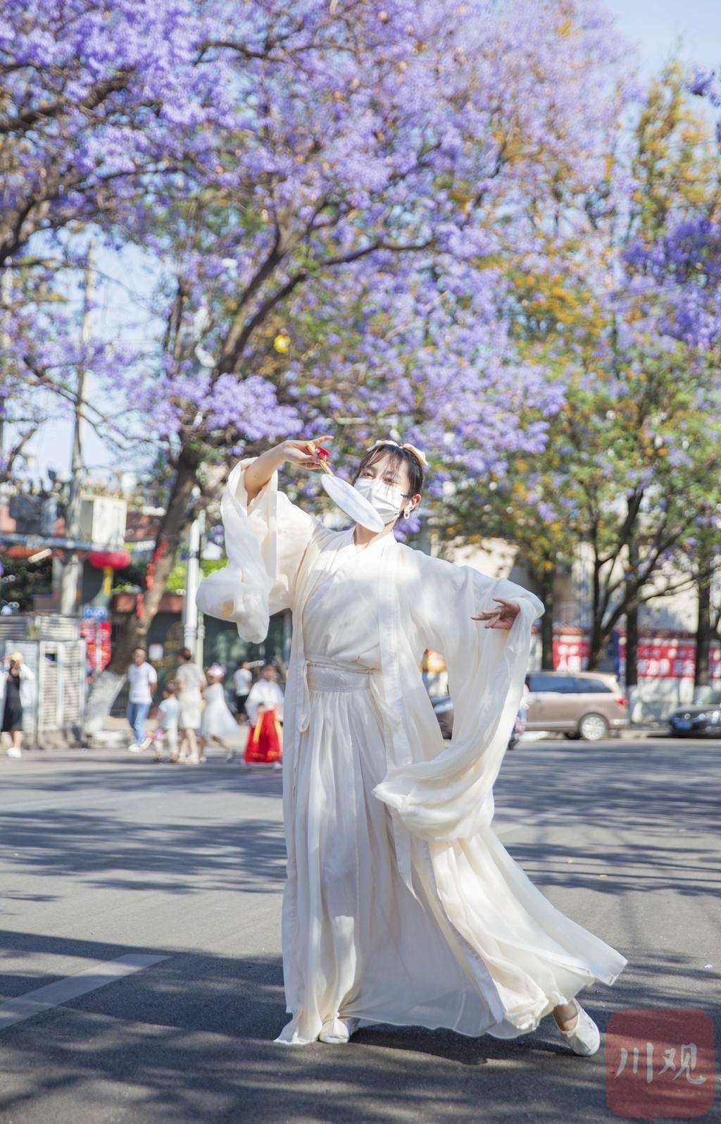 当蓝花楹遇见汉服，盛装而来只为赴这一场春日邀约