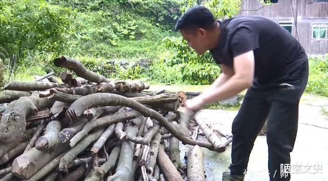 自媒体达人|伍婷慧丈夫生意亏损百万,她靠直播帮助丈夫!还带村民一起致富