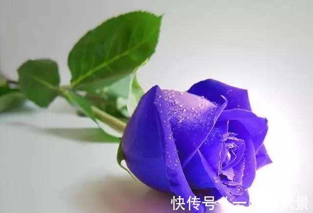 缘分|9月份期间，缘分与桃花继续付出，偶然相遇完美真爱的四大生肖！