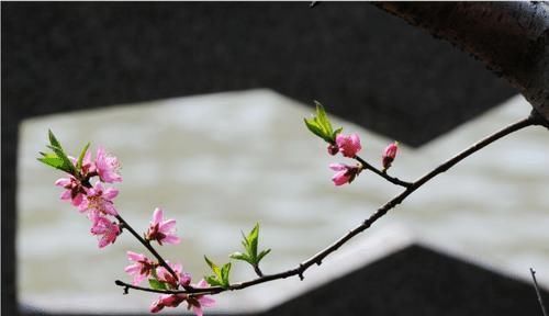 智商|出生在几点钟的孩子,智商最高,将来一定大有出息,前途光明