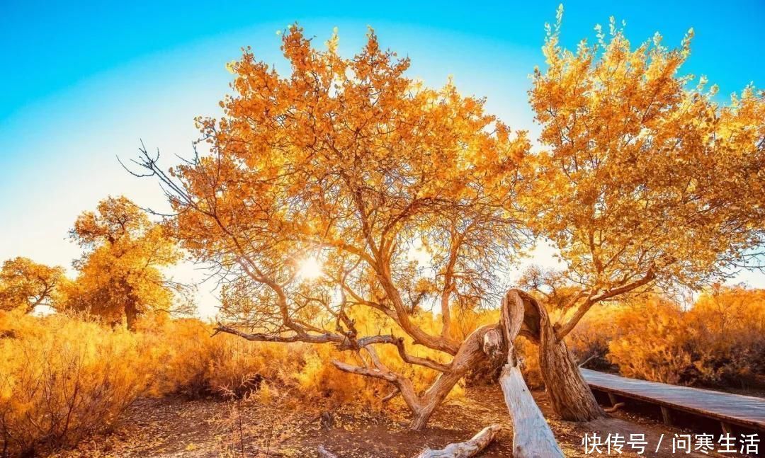 美景|中国最震撼的公路穿越美景无数，美国66号公路都嫉妒