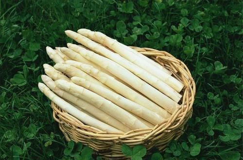 食物|每天不妨多吃3种食物,营养丰富、增强体质,好吃又健康!