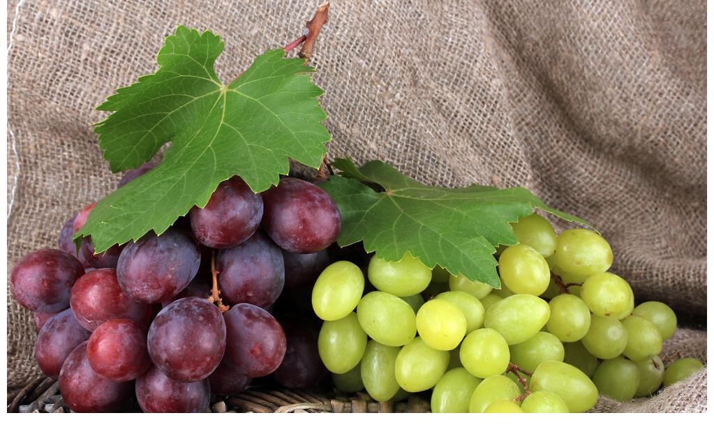 芝麻|吃一口等于12斤芝麻，骨科医生：你若爱吃，到老也不怕摔