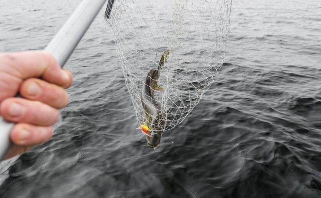 钓鱼挂底不可怕,用对方法是关键附挂底应对方法