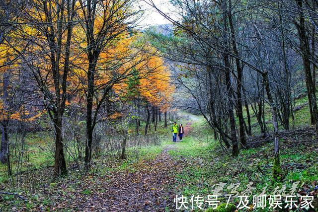 秋色|养在深闺人未识的秦岭秘境留坝，却深藏着让人叹为观止的绝美秋色