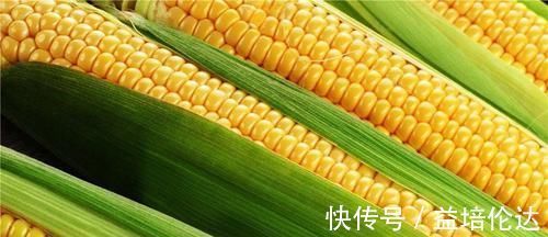 鱼肚|胃靠三分治七分养,胃不好的人,吃对这6种食物,胃病好得快