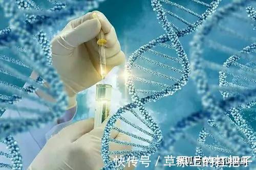必要|小脑萎缩患者的子女有没有必要做基因检测？